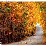 Gorgan's sights in the fall