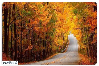 Gorgan's sights in the fall