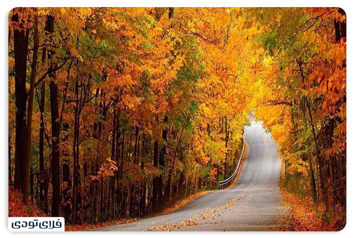 Gorgan's sights in the fall