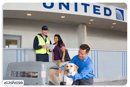 PET IN PLANE POLICY 8