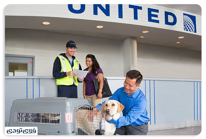 PET IN PLANE POLICY 8