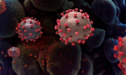 Corona Alzheimer's premature