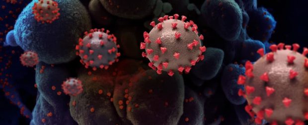 Corona Alzheimer's premature