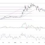 Ton Quinn's 2 % collapse and crisis in the Ton -Takfahan ecosystem
