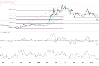 Ton Quinn's 2 % collapse and crisis in the Ton -Takfahan ecosystem