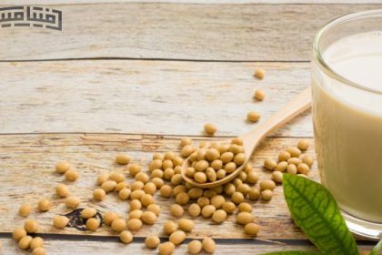 What substances are estrogen?