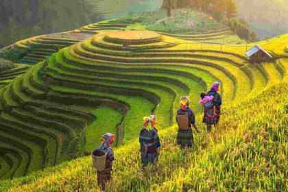Travel to Sapa meet native tribes and green nature