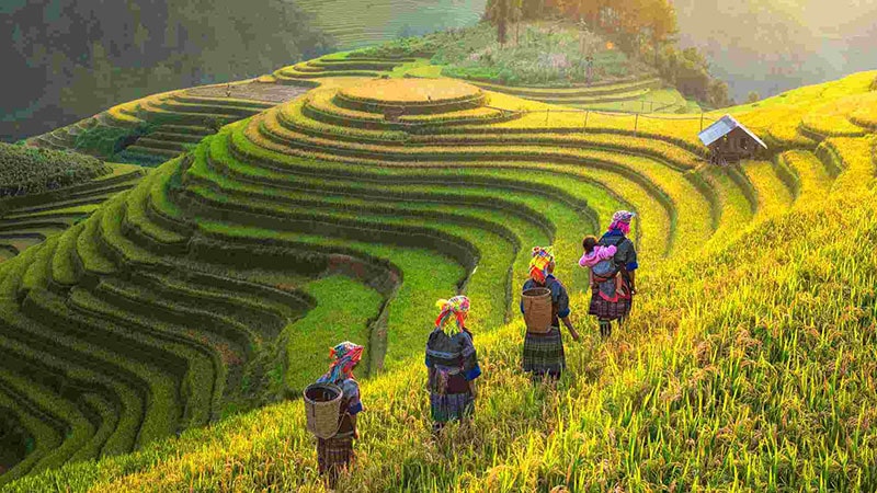 Travel to Sapa meet native tribes and green nature