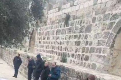Zionist settlement assault on al -Aqsa mosque and implementation of provocative rituals