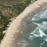 The killer whales in Australia