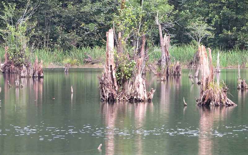 Nature of Lake Ghost, Photo Source: Google Map, Photographer: Mohammad Ghaffar