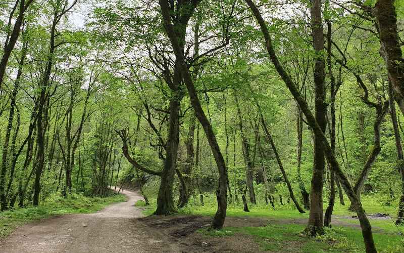 Lake Ghost Lake, Photo Source: Google Map, Photographer: Morteza Kavashi