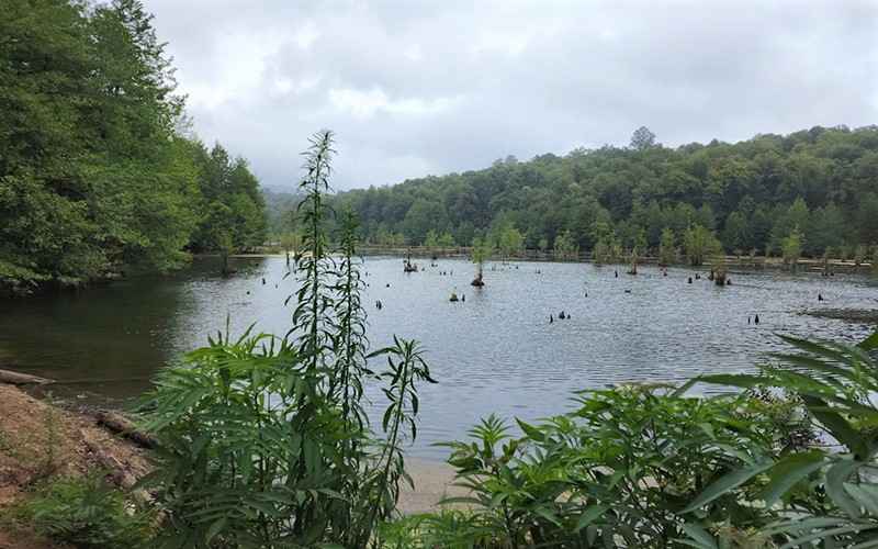 Noshahr Ghost Lake in Spring, Photo Source: Google Map, Photographer: Javad Sarabi