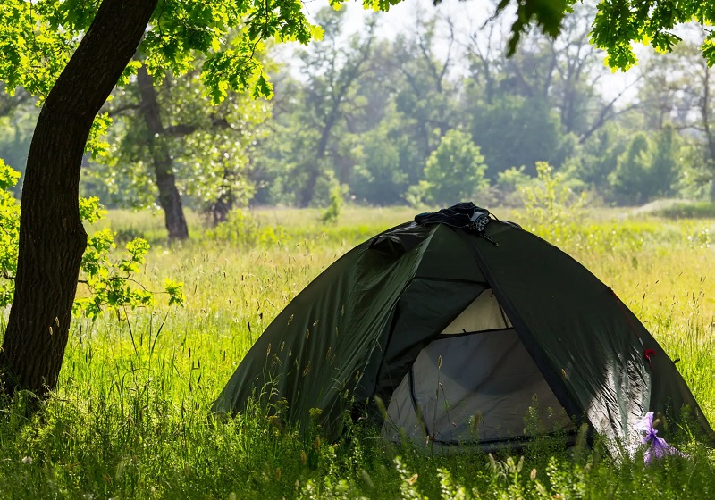Tent in the woods; Photo Source: naturstyrelsen.dk; Photographer: Unknown