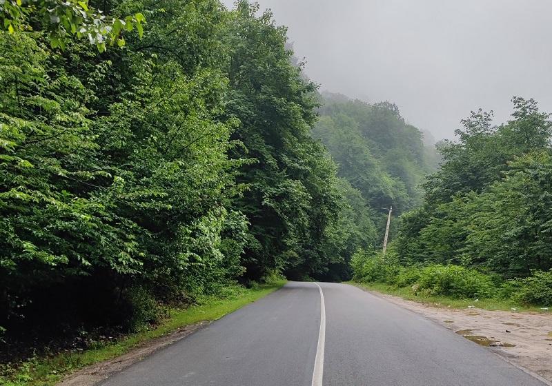 The path of the forest of two thousand; Photo Source: Googlemaps; Photographer: Soheil mahmoudi