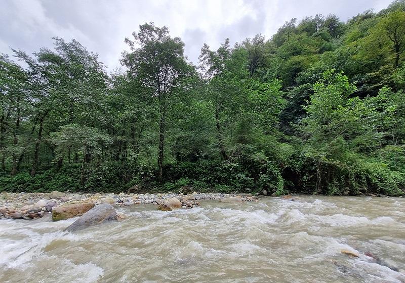The forest of two thousand and the forest of three thousand; Photo Source: Googlemaps; Photographer: Hosein sajadi