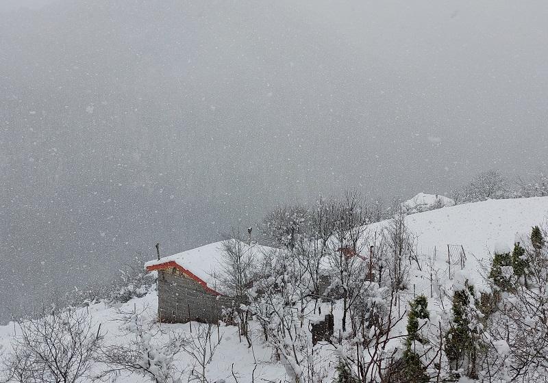 Snowy hut in the heights of the forest of two thousand; Photo Source: Googlemaps; Photographer: Ghobad Jamalian