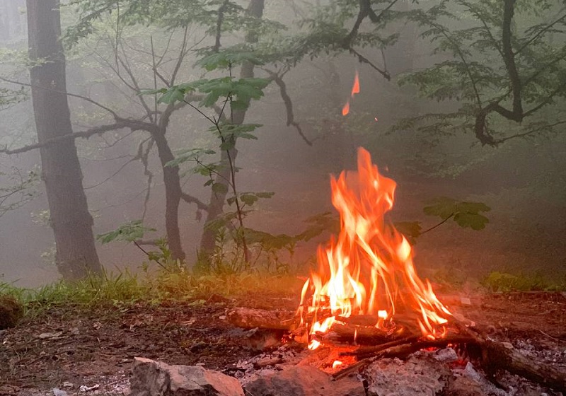 Lighting fire in the forest of two thousand; Photo Source: Googlemap; Photographer: Milad Vanaie