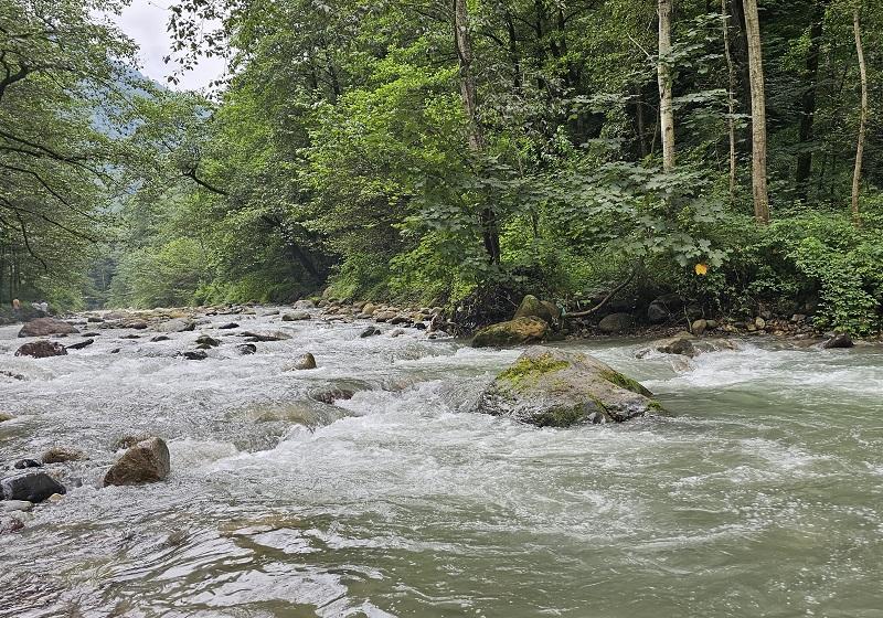 The river of the forest of two thousand; Photo Source: Googlemaps; Photographer: Nozha365