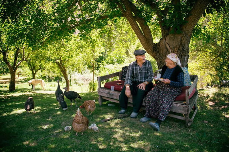 Old woman and old man in the farm