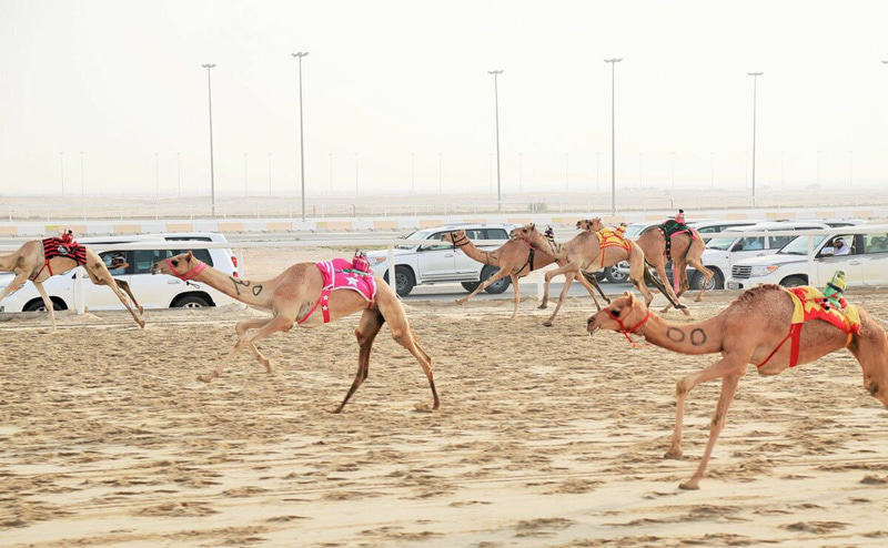 Qatar Races Run