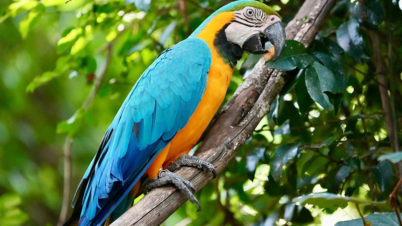 Visiting the birds' shelter