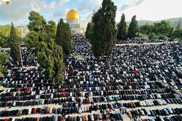 Ramadan in Palestine; From cooking 
