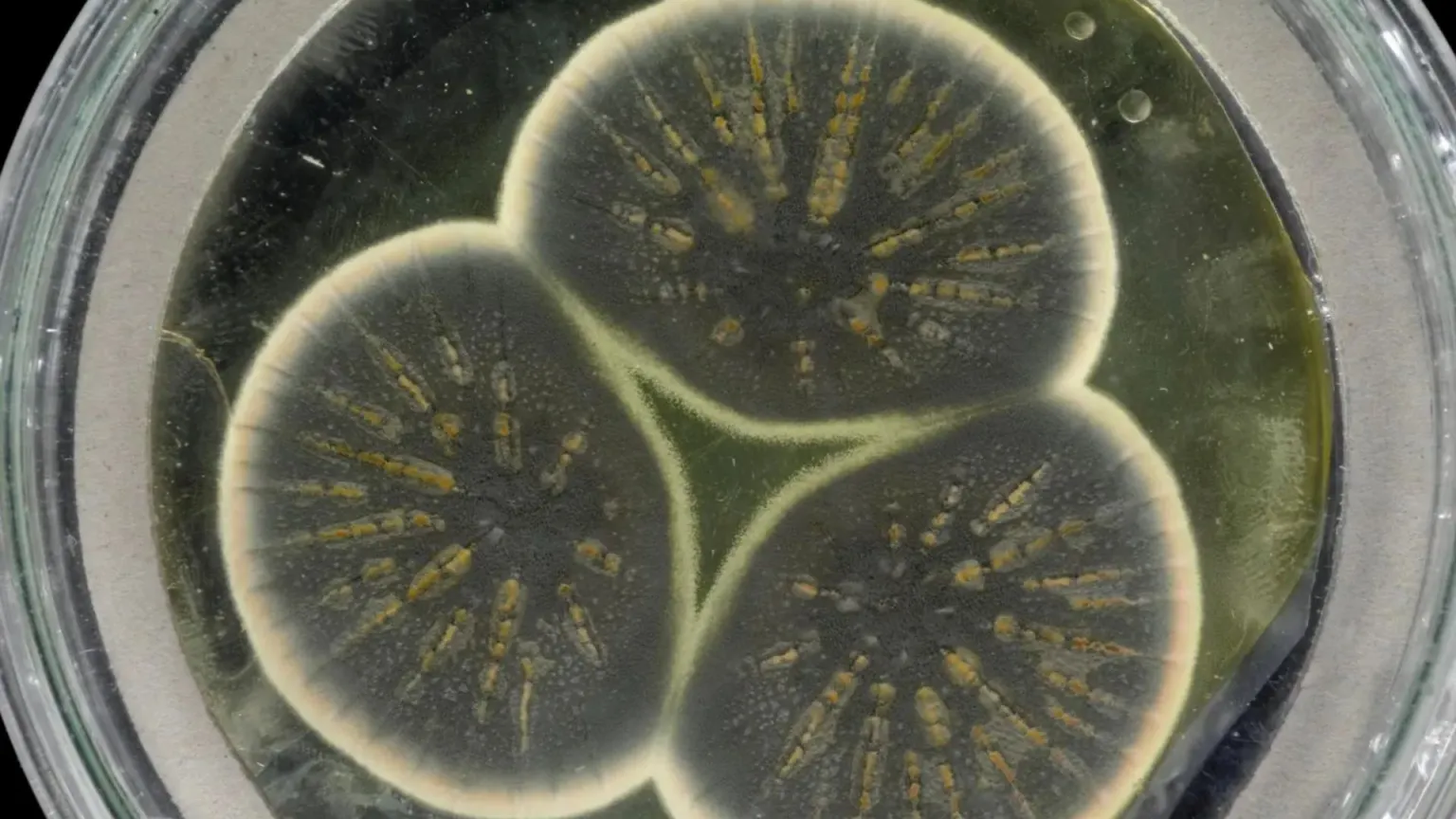 ۱۰ Great scientific discovery that changed the world forever