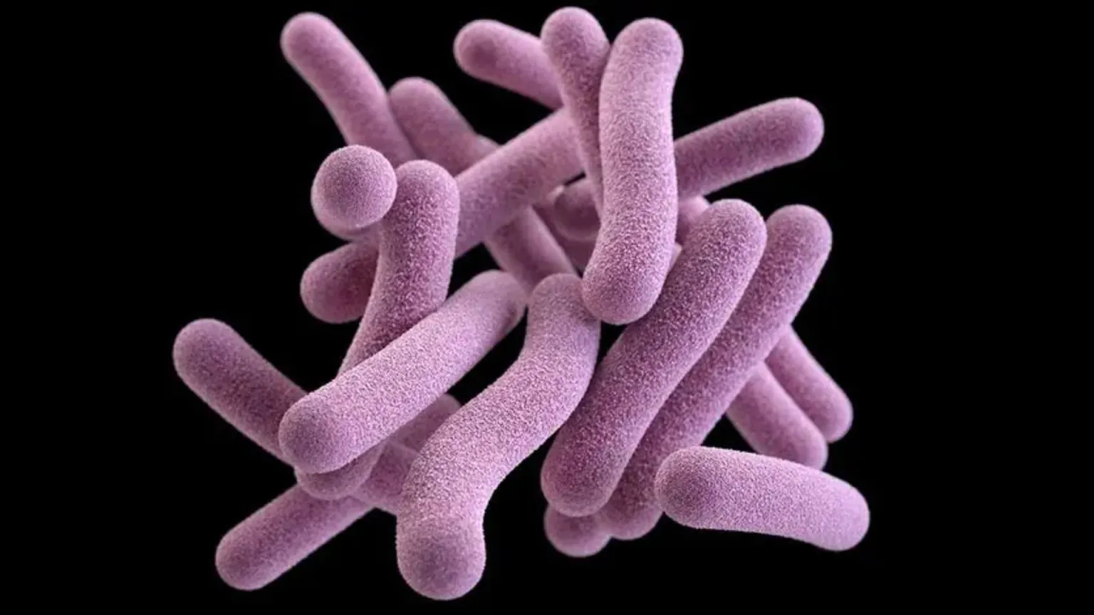 ۱۰ Great scientific discovery that changed the world forever