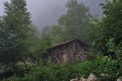 Forest hut in two thousand; Photo Source: Googlemaps; Photographer: Sepide Alizade