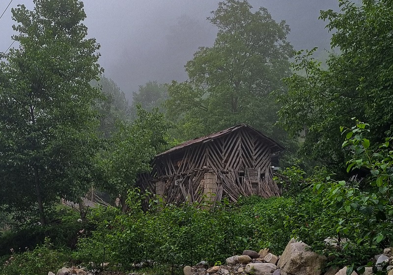 Forest hut in two thousand; Photo Source: Googlemaps; Photographer: Sepide Alizade