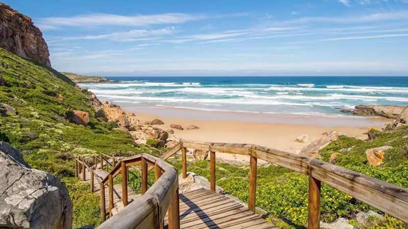 Hidden Secrets of the Bay Plato: Unknown Paradise in South Africa