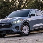 Mustang sale has fallen sharply