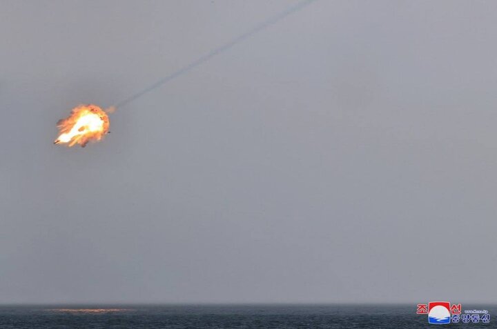 New Korea's new anti -aircraft missile system test+ images