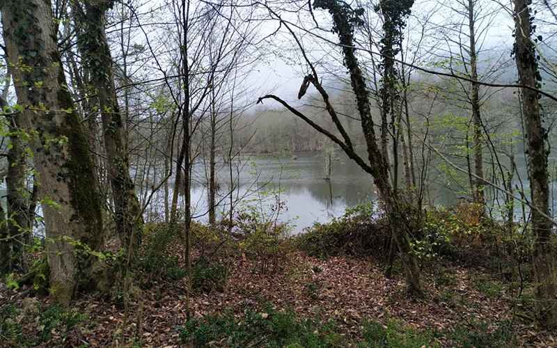 Noshahr Lake Nature, Photo Source: Google Map, Photographer: Moshaverin Consultants
