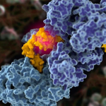 Scientists first captured pictures of cancer secret strategy