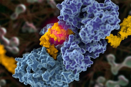 Scientists first captured pictures of cancer secret strategy