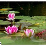 Spectacular places in Sari