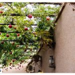 What is the Taft Term?