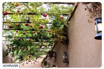 What is the Taft Term?