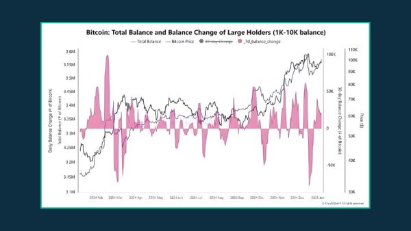 Bitcoin Holder Status Grass