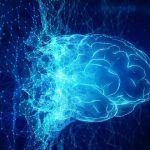 Human artificial intelligence