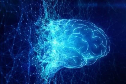 Human artificial intelligence