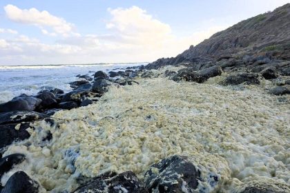 Video/ mysterious poisonous floor of Australia's coast