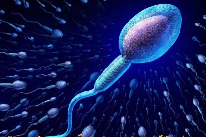 What pills to boost sperm?