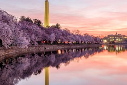 10 Spring Worlds of the World that fascinate you with blossoms