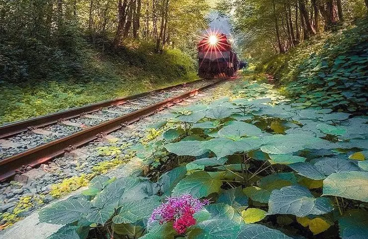 Why do you have to travel to the arrow?