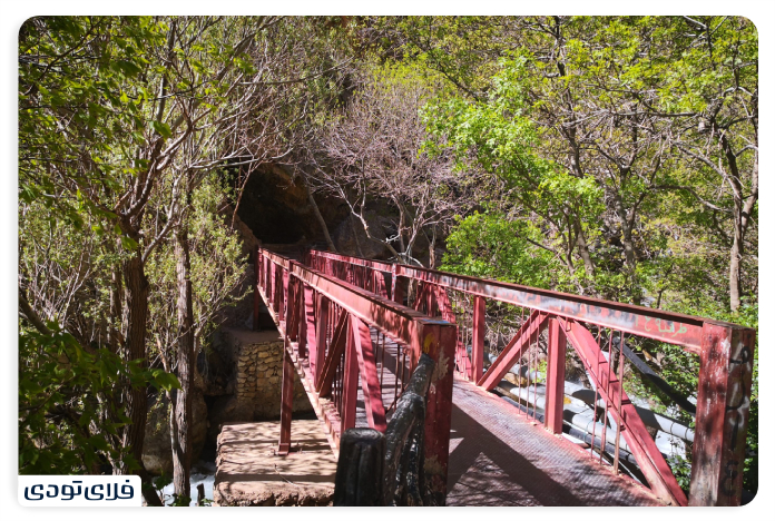 Traveling with a personal car
