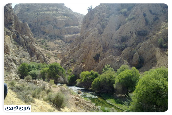 Margoon Protected Area