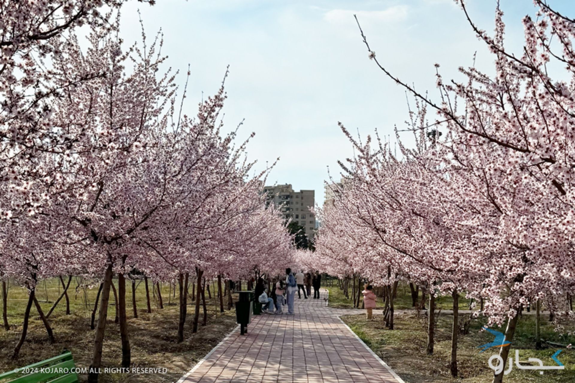 Spring and spring blossoms in Tehran's Semnan Garden